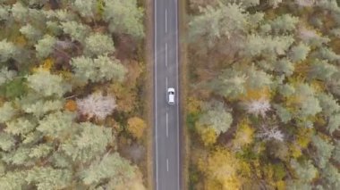 White car riding through countryside road at autumn season. Auto driving at rural route near yellow autumnal forest. SUV moving through scenic landscape way. Concept of travel and journey. Top view.