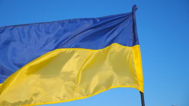 Ukrainian Flag Fluttering Countryside Blue Yellow Banner Flagpole Waving Wind — Stock Video
