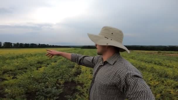 Young Agronomist Standing Garbanzo Field Giving Interview Farmland Agriculture Male — Stock Video
