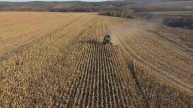 Tarlada mısır ya da buğday hasadı toplayan hava manzarası. Güneşli bir günde hasat üzerinde uçmak mısır veya arpa çayırında çalışmak. Arka planda güzel bir kır manzarası var. Hasat kavramı.