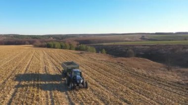 Tarım makinesinin üzerinde uçarak karavanda tahılla tarlaların içinden geçerek. Hasat sırasında tarlaya mısır ya da buğday taşıyan traktör. Çiftçilik ve tarım kavramı. Hava görünümü.