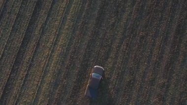 Sonbaharda tarlaların arasında uçan bir araba. Hasattan sonra tarladan geçen bir kamyonet. Otlakta giden off-road aracı. Tarım çiftçiliği kavramı. Hava görüntüsü.