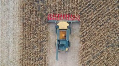 Mısırları toplarken havadan çekilmiş görüntüler. Arpa saplarını keserek hasat aracının üzerinden yavaşça geçmek. Çiftlik arazisinde çalışan traktörün üst görüntüsü. Hasat konsepti. Yavaş çekim. Yakın çekim..