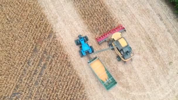 Luftaufnahme Eines Mähdreschers Der Maiskörner Einen Traktoranhänger Lädt Überfliegen Landwirtschaftlicher — Stockvideo