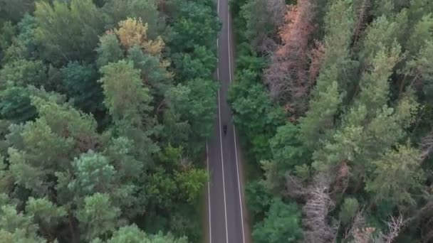 Aerial Shot Biker Riding Motorbike Forest Road Motorcyclist Racing His — стоковое видео