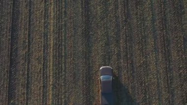Sonbaharda tarlaların arasında uçan bir araba. Hasattan sonra tarladan geçen bir kamyonet. Otlakta giden off-road aracı. Tarım çiftçiliği kavramı. Hava görüntüsü