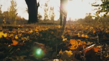 Sonbahar parkında koşan tanınmamış sporcu renk akçaağaç yapraklarına basıyor. Erkek sporcu gün batımında dışarıda antrenman yapıyor. Güzel doğa manzarası. Sağlıklı yaşam tarzı kavramı. Yavaş çekim