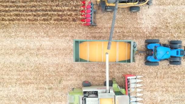 Luftaufnahme Von Zwei Mähdreschern Die Maiskörner Traktoranhänger Laden Überfliegen Landwirtschaftlicher — Stockvideo
