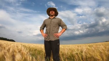 Erkek çiftçi buğday tarlasında duruyor ve mısır gevreği tarlasına bakıyor. Genç tarımcı altın çayırını işaret ediyor. Arka planda bulutlu bir gökyüzü. Tarım sektörü konsepti. Düşük görünüm
