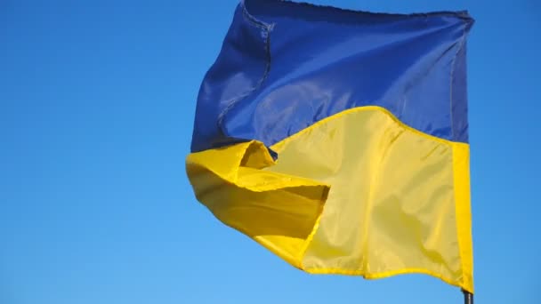 Blå Gul Fana Flaggstången Viftar Med Vinden Mot Bakgrund Blå — Stockvideo