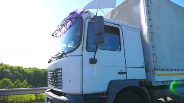 Caminhão Grande Com Reboque Carga Dirigindo Estrada Transportando Mercadorias Dia — Vídeo de Stock