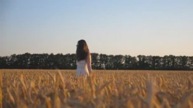 Güneşli bir günde buğday tarlasında yürüyen çekici bir kadın. Kaygısız kız, olgun altın ekin kulaklarıyla çayırlarda dolaşırken yaz doğasının tadını çıkarıyor. Özgürlük ya da tarım kavramı. Yavaş çekim Dolly..