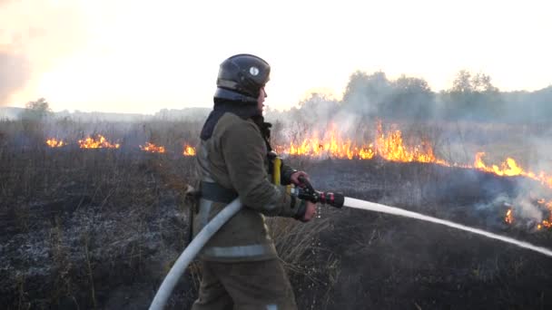 Üniformalı Erkek Itfaiyeci Kırsal Bölgelerde Yangın Hortumuyla Yanan Kuru Otları — Stok video