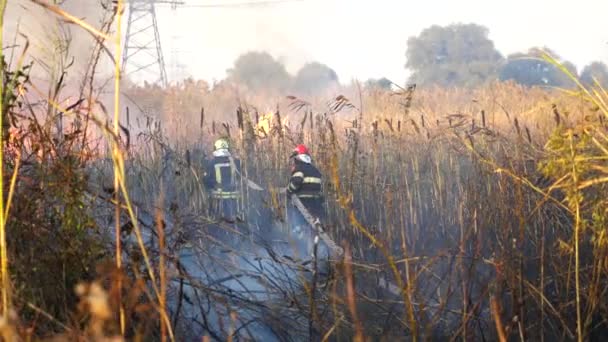 Tam Teçhizatlı Genç Itfaiyeciler Yangın Hortumuyla Dışarı Çıkıyorlar Üniformalı Erkek — Stok video