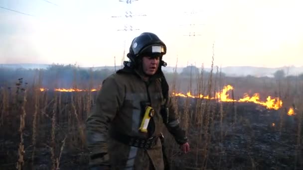 若い消防士は田舎の焼畑で制服を着ている 火災後の牧草地を歩くフル装備の男性消防士 プロの消防士は火の場所を移動します スローモーション — ストック動画