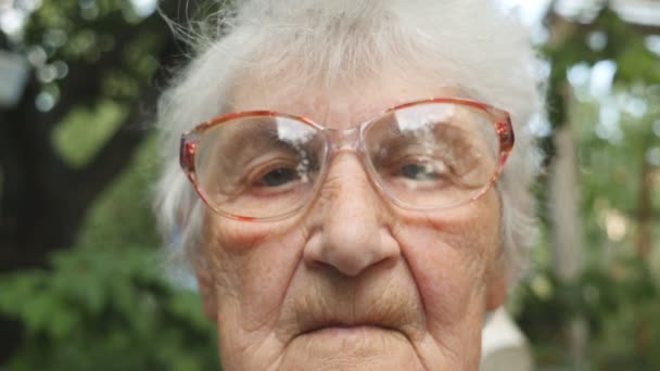 クローズ アップの古いカメラに探している眼鏡の女性 屋外の祖母の肖像画 — ストック動画