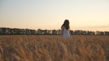 Attractive woman walking through wheat field at sunset time. Camera tracking girl enjoying summer nature on meadow with ripe golden crop ears. Freedom or farming concept. Slow motion Dolly shot.