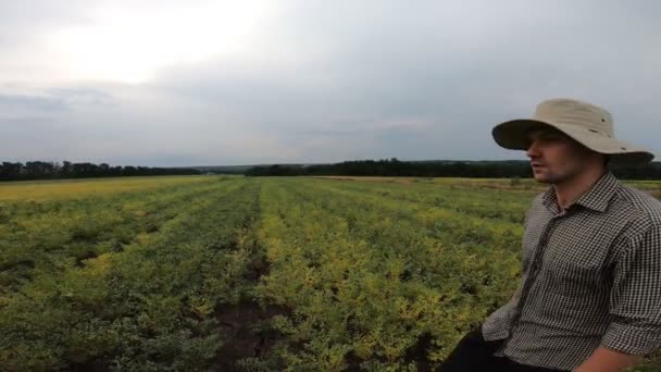 Blízko Mladému Farmáři Procházejícímu Cizrnovým Polem Zatažený Letní Den Muž — Stock video