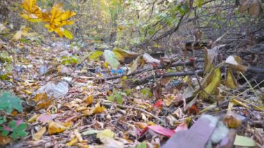 Sonbahar ormanında yere birçok çöp yatıyor yakın. Çöp kutusu açık ve serbestçe kullanılabilir yerlerde doğada atılmış. Çevre kirliliği sorunu kavramı. Vinç shot yavaş hareket.