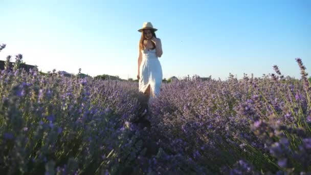 Mujer Joven Vestido Blanco Caminando Por Campo Lavanda Hermosa Chica — Vídeo de stock