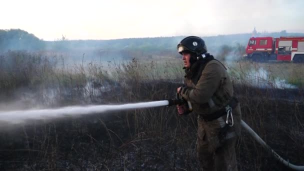 Bombero Masculino Uniforme Extingue Quema Hierba Seca Utilizando Manguera Fuego — Vídeos de Stock