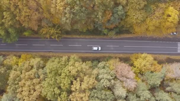 Letecký Záběr Bílého Auta Projíždějícího Podzim Venkovskou Cestou Autem Venkovské — Stock video