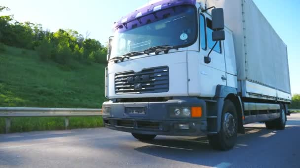 Velký Kamion Nákladním Přívěsem Jedoucí Dálnici Převážející Zboží Slunečného Dne — Stock video
