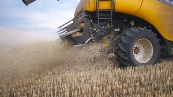 Kharkiv Ukraine Ağustos 2019 Olgun Buğday Hasadını Birleştirip Saman Atıyorlar — Stok video