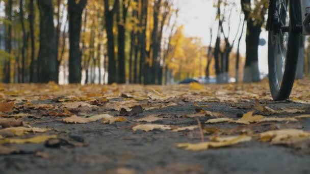 Jovem Irreconhecível Andando Bicicleta Pelo Parque Cidade Entre Árvores Coloridas — Vídeo de Stock