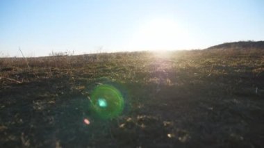 Ukrayna ordusunun genç askerleri ulusal bayrağı kaldırdı. Kamuflaj üniformalı asker ve kadın, çayırda Ukrayna bayrağı sallayarak koşuyor. Rus işgaline direniş.