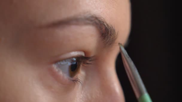 Close Eye Young Girl Doing Makeup Mascara Attractive Woman Caring — Stock Video