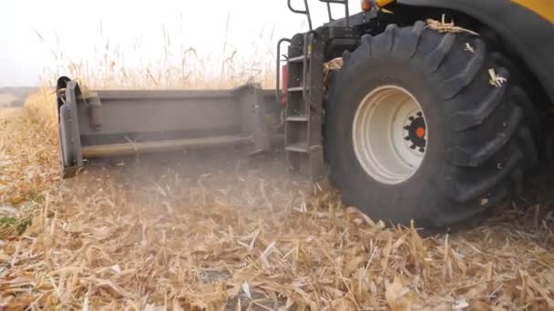 Niski Widok Kombajn Zbierający Plony Kukurydzy Użytkach Rolnych Zamknąć Nagłówek — Wideo stockowe