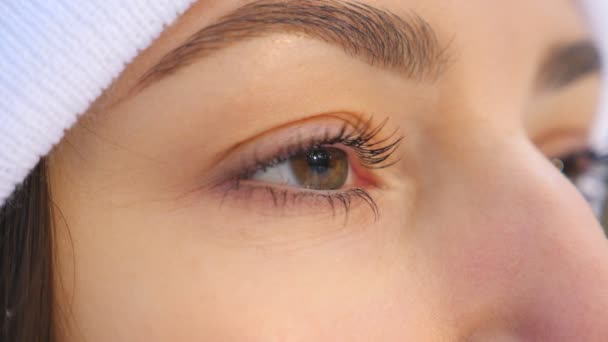Detail Pohled Ženskou Tvář Krásnýma Hnědýma Očima Atraktivní Dívka Stojící — Stock video