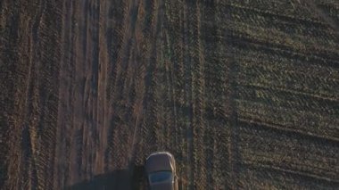 Sonbaharda tarlaların arasında uçan bir araba. Hasattan sonra tarladan geçen bir kamyonet. Otlakta giden off-road aracı. Tarım çiftçiliği kavramı. Hava görüntüsü.