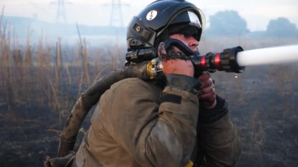 Професійний Пожежник Повному Обладнанні Викладає Полум Луг Чоловічий Пожежник Формі — стокове відео