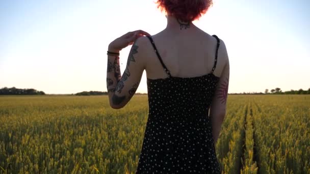 Hübsches Junges Punkmädchen Das Grünen Gerstenfeld Schwarze Kleidchen Von Der — Stockvideo