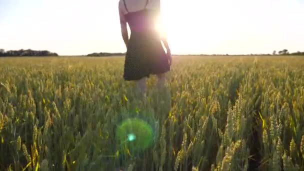 若い女性のヒップスターは 日没時に緑の野原を歩いています 小麦の牧草地の間に行き 自由を楽しんでいるタトゥーを持つケアフリーパンクガール 背景にある美しい風景 — ストック動画