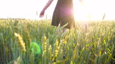 Yeşil arpa tarlasında duran ve gün batımında el kaldıran güzel hippi kız. Buğday çayırında özgürlüğün tadını çıkaran dövmeli mutlu punk kadın. Arka planda manzaralı kırsal alan.
