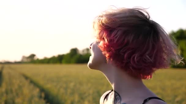 ピンクの髪のハッピーパンクガールは 日没時にバーレーの牧草地に立っているカメラに目を向けます 背景に小麦グリーンフィールドを持つイヤートンネルを持つ笑顔のヒッピー女性の肖像画 自由の概念 — ストック動画