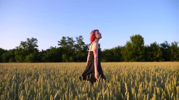 Mujer Hipster Feliz Con Pelo Rosa Caminando Través Del Campo — Vídeo de stock