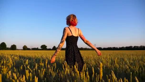 年轻的嬉皮士女人在麦田里举起双手 享受着自由 无忧无虑的朋克女孩带着纹身在日落时分走过绿色的大麦田 美丽的乡村景色 — 图库视频影像