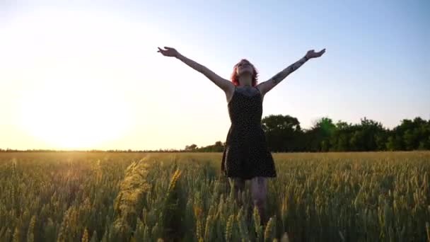 Молодая Хиппи Платье Поднимает Руки Пока Идет Среди Пшеничного Луга — стоковое видео