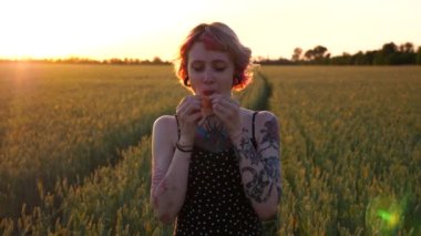 Tarlada yeşil buğday yiyen pembe saçlı komik hippi kadın portresi. Kulak tünelleri olan mutlu punk kızı arpa çayırında kameraya bakıyor. Özgürlük kavramı. Kapat..
