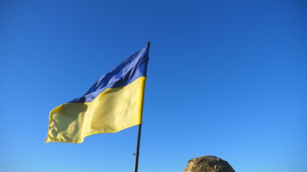 Junge Soldaten Der Ukrainischen Armee Stehen Mit Erhobener Nationalfahne Auf — Stockvideo