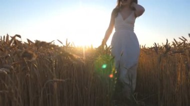 Young girl in white dress walking through wheat field with bright sunset at background. Carefree woman enjoying scenic summer nature on meadow. Concept of freedom or agriculture. Slow motion Low view.