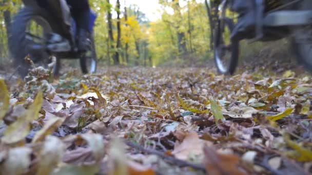 Motosikletliler Sonbahar Ormanlarında Yolda Gezerler Motosikletler Ahşap Patika Boyunca Geçiyor — Stok video