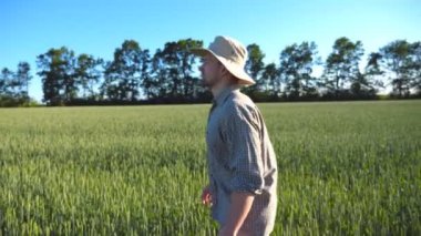 Çiftliğindeki yeşil buğday tarlasında yürüyen şapkalı genç bir erkek çiftçinin profili. Güneşli yaz gününde mısır gevreği çiftliğine giden kendine güvenen bir adam. Tarım sektörü kavramı. Yan Görünüm Kapat.