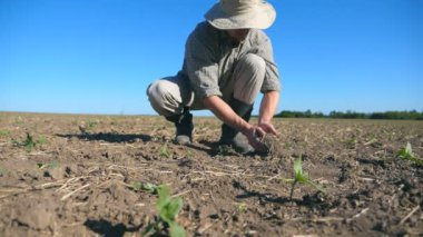 Genç erkek çiftçi eline alarak kuru toprak ve ayçiçeği küçük yeşil lahanası ile sahada onun parmaklarının arasından dökülen. Tarım iş kavramı. Ağır çekim düşük açılı görünümü Kapat