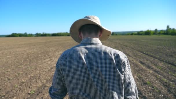 帽子とシャツの日当たりの良い夏の日に彼のフィールド上を歩いて認識できない若い男性農家に従ってください 背景の青空 農業ビジネスのコンセプトです 背面にはスローモーションを閉じるを表示します — ストック動画