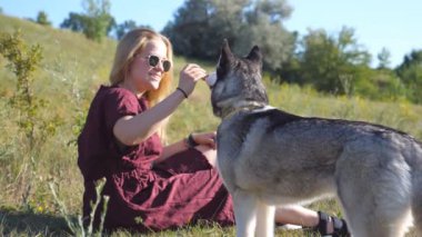 Sarı saçlı mutlu kız yeşil çimenlerde oturuyor ve güneşli bir günde Meadow 'da Sibirya köpeğini eğitiyor. Genç bir kadın elinde atıştırmalıkla sahada köpeğiyle oynuyor. Yavaşça kapat..